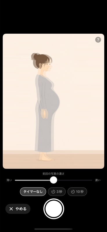 前回の写真を薄く重ねた撮影画面